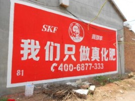 恩施刷墙广告”蕴含了时代命题