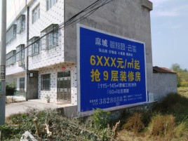 恩施墙体广告质量分析