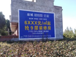 恩施品牌公司青睐的墙体广告